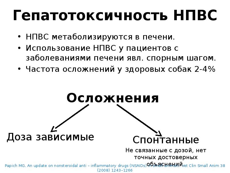 Рациональное использование НПВС у собак. Безопасность и эффективность
