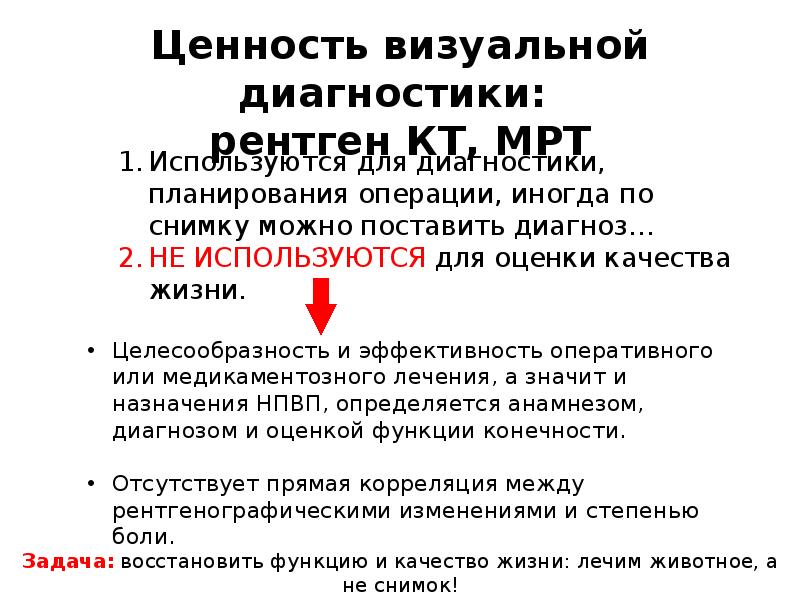 Рациональное использование НПВС у собак. Безопасность и эффективность
