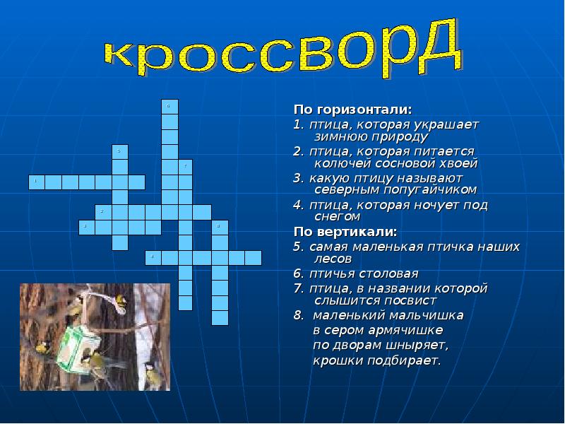 Презентация с кроссвордом