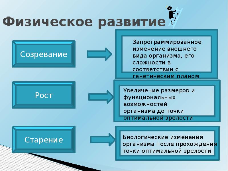 Соотношение понятий рост развитие созревание. Созревание в психологии развития. Взаимосвязь роста и развития. Созревание это в педагогике. Рост развитие созревание.