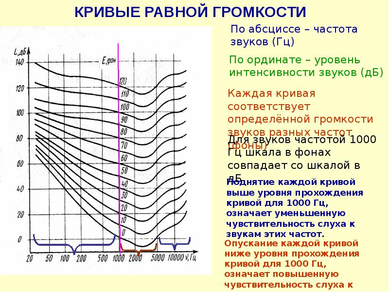 Ард диаграмма ультразвук это - 88 фото