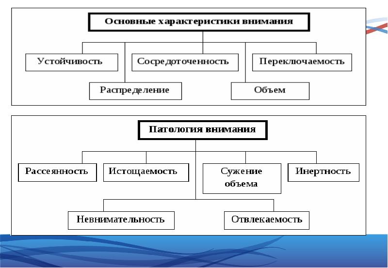 Презентация психические процессы важные для профессионального самоопределения