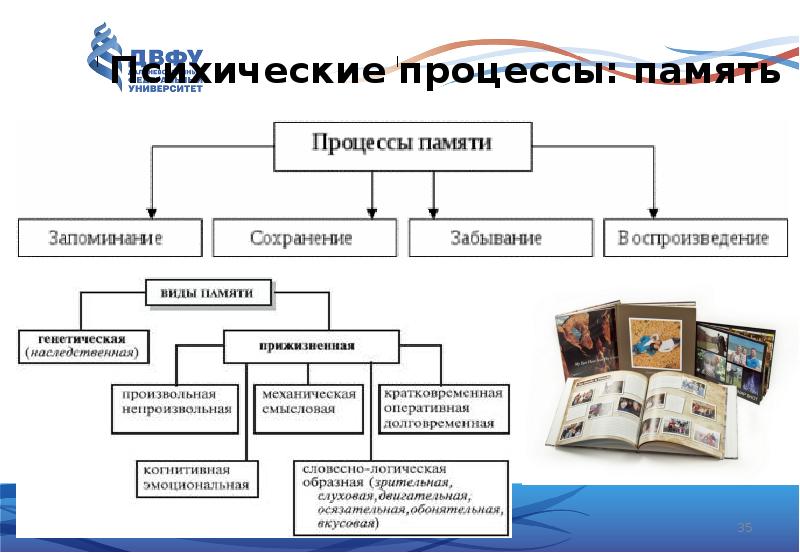 Психологические процессы презентация