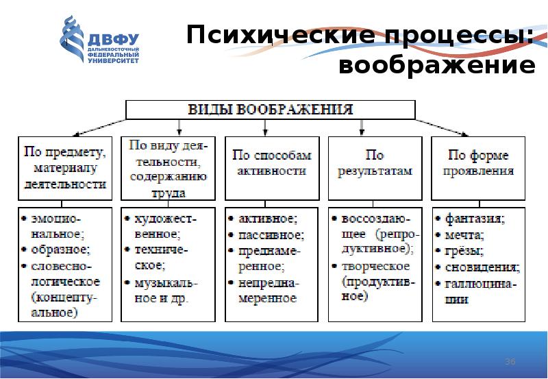 К психическим процессам относятся