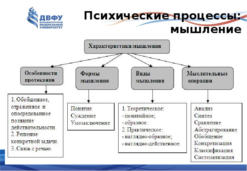 Характер протекания психических процессов