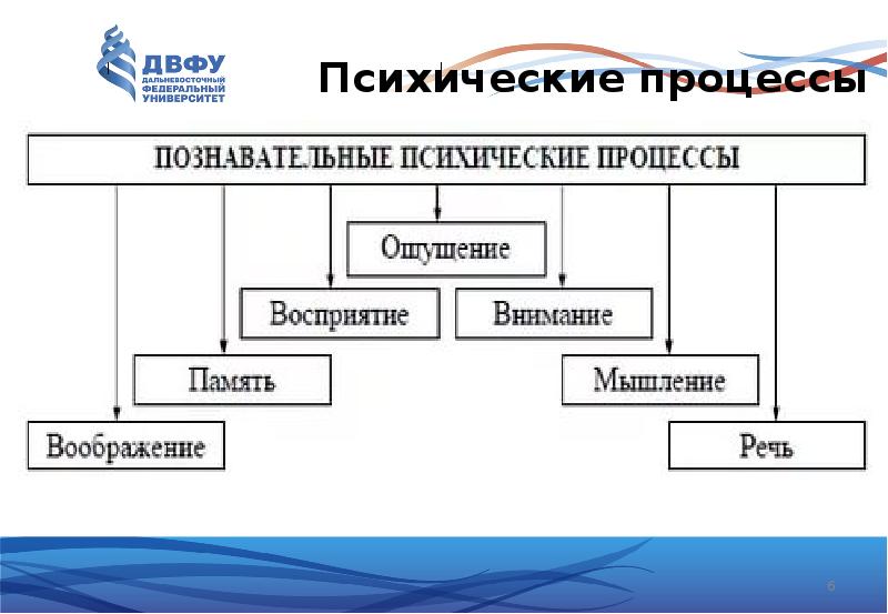 Познавательные процессы в психологии. Познавательные психические процессы. Психические процессы схема. Познавательные психические процессы схема. Структура психических процессов.