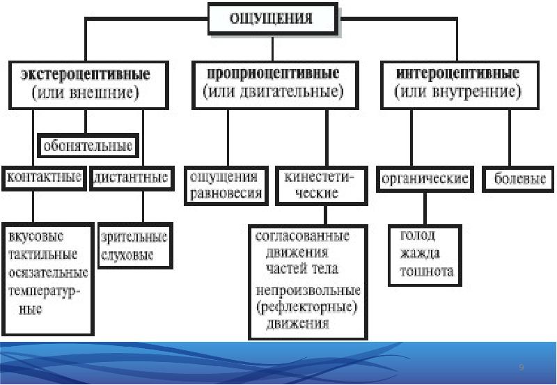 Ощущение презентация по психологии