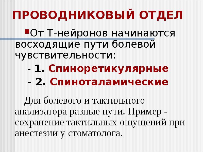 Болевая чувствительность презентация