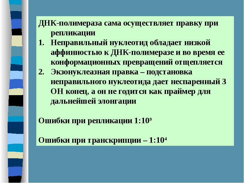 Корректирующая активность днк полимеразы. Синтез днк. генетическая матрица.