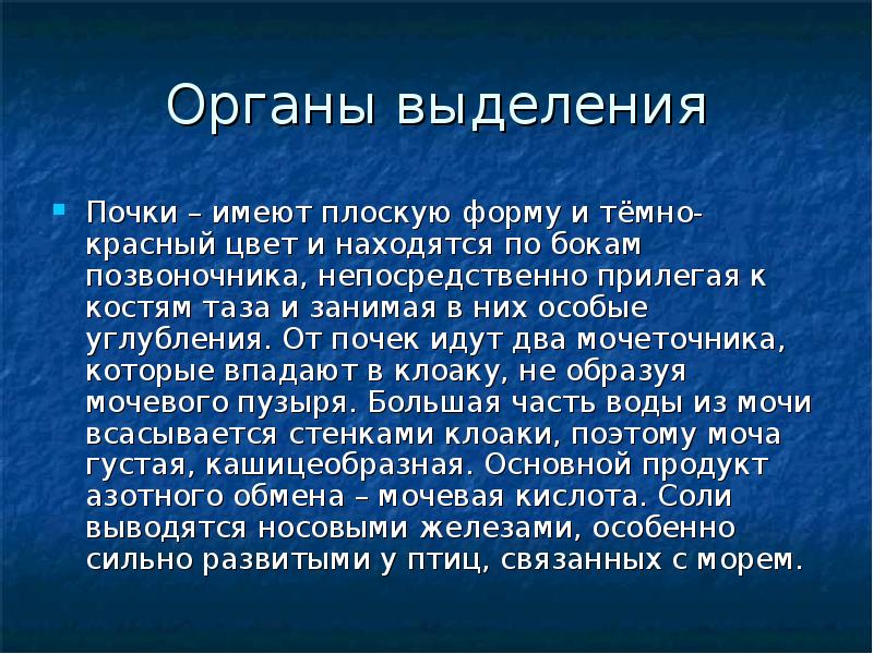 Органы выделения
Почки – имеют плоскую форму и тёмно-красный цвет и Органы выделения
Почки – имеют плоскую форму и тёмно-красный цвет и