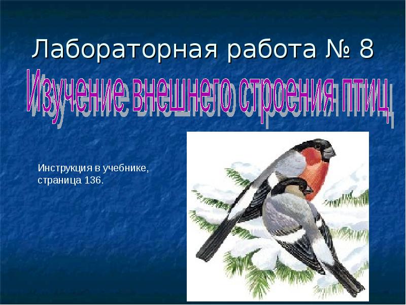 Лабораторная работа № 8 Лабораторная работа № 8