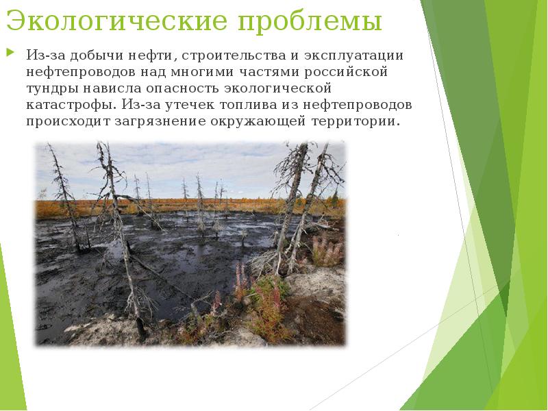 Сохранение природной среды и решение экологических проблем большой волги западной сибири