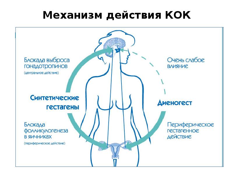 Презентация комбинированные оральные контрацептивы