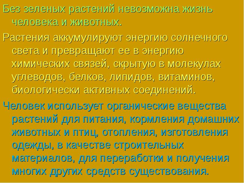 Почему без растений невозможна жизнь на земле. Почему без растений невозможна жизнь на земле