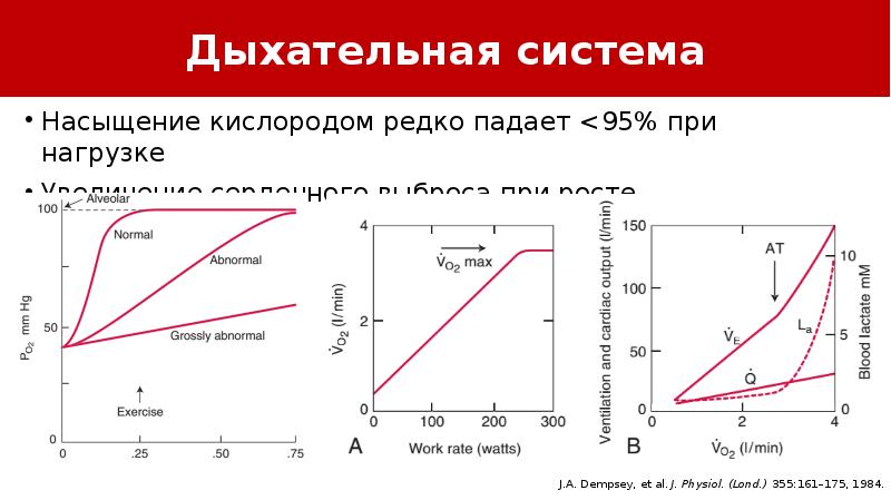 Насыщение кислородом. Сатурация при физических нагрузках. Сатурация при нагрузке. Норма сатурации кислорода при физических нагрузках.