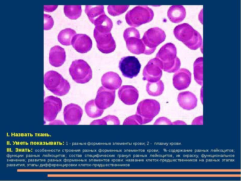 Лимфа соединительная ткань функции. Из чего состоит соединительная ткань кровь. Ткань состоящая из форменных элементов и. Жидкая соединительная ткань, дополняющая кровь. Ткань состоящая из форменных элементов и.