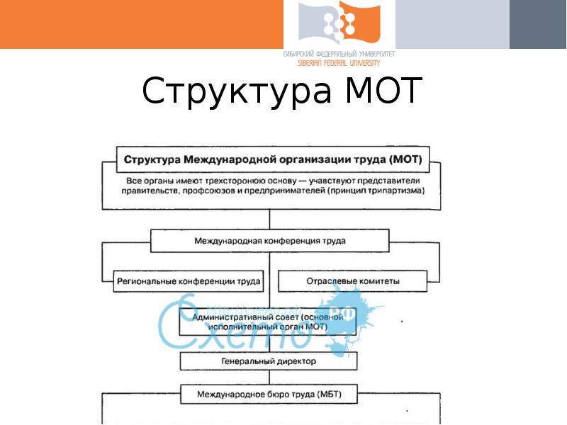 Международная организация труда презентация