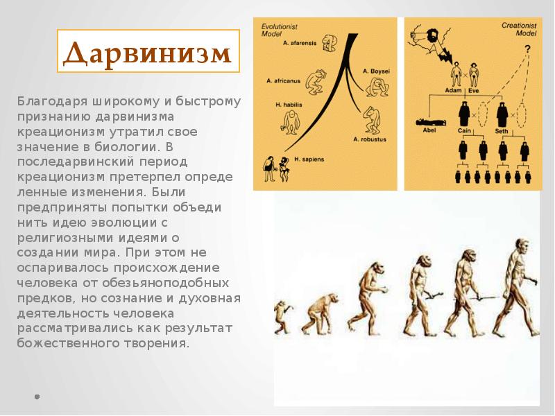 Возникновение дарвинизма. Креационистская теория. Эволюционные идеи креационизм. Презентация на тему креационизм. Креационизм эволюционное развитие.