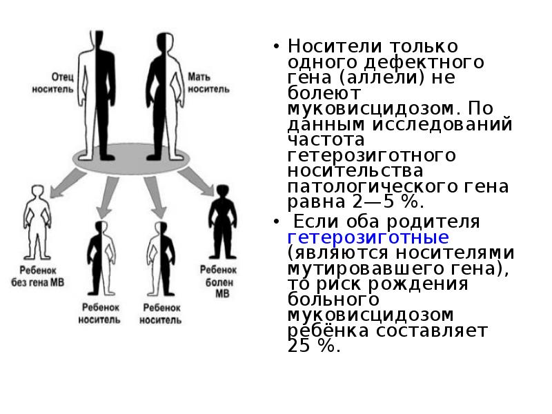 Презентация на тему муковисцидоз