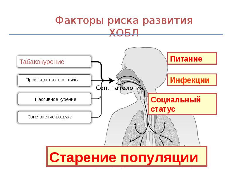 Профилактика хобл презентация