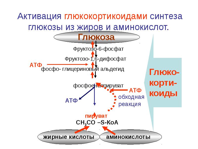 Схема активации глюкозы