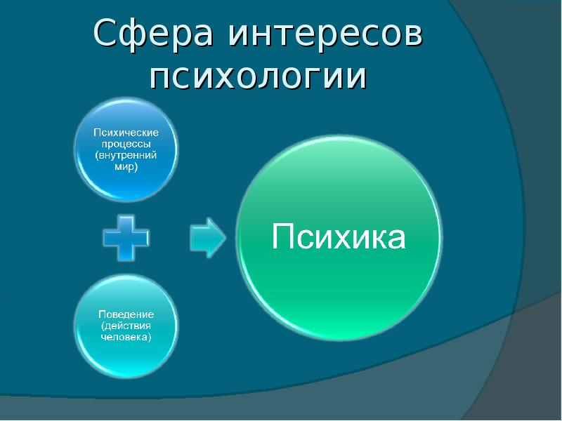 3 сферы интересов. Сфера интересов. Сферы психологии. Мои сферы интересов. Сферы интересов человека.