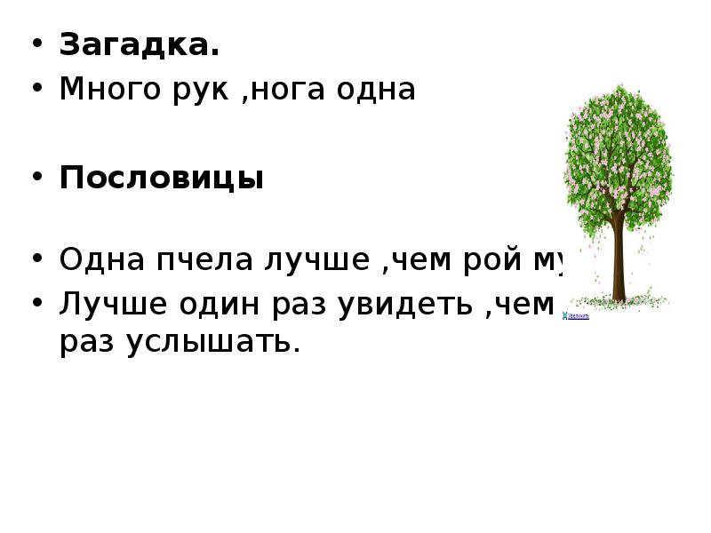 Много загадок. Много сложных загадок. Загадки много загадок. Самые сложные загадки. Загадки очень сложные загадки.