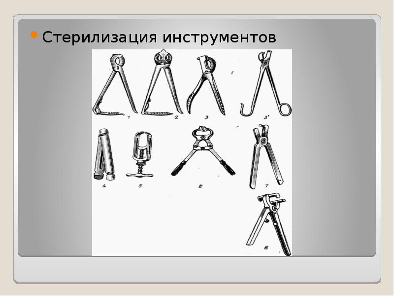 Презентация кастрация быков