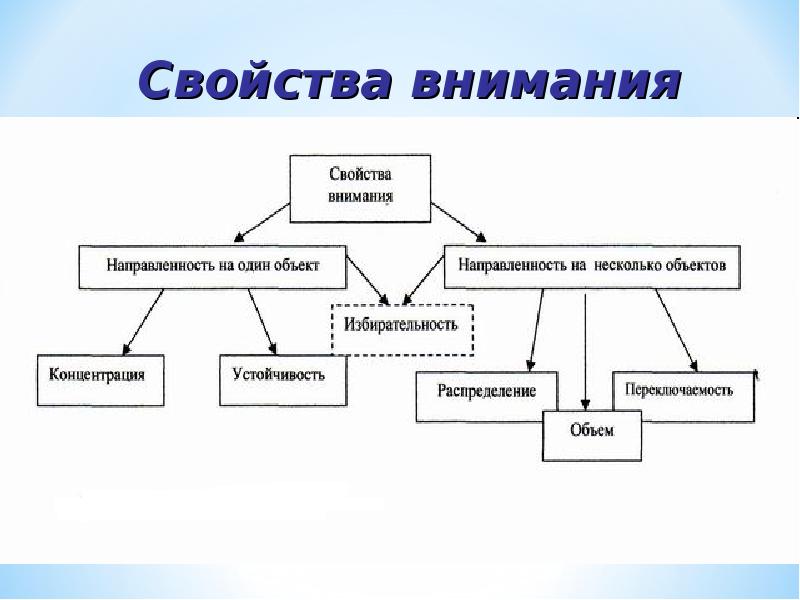 Внимание в психологии презентация