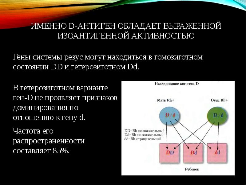 Гетерозиготная хромосома. Тип наследования резус-антигена у человека. Гетерозиготное состояние Гена что это. Резус антигены иммунология. Наследование антигена d.