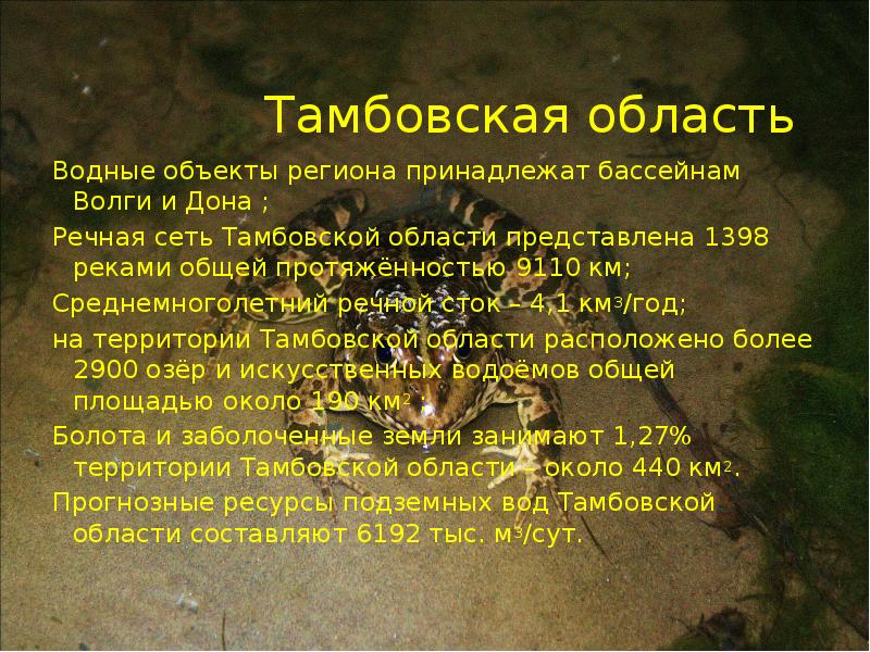 Презентация водная среда тамбовской области