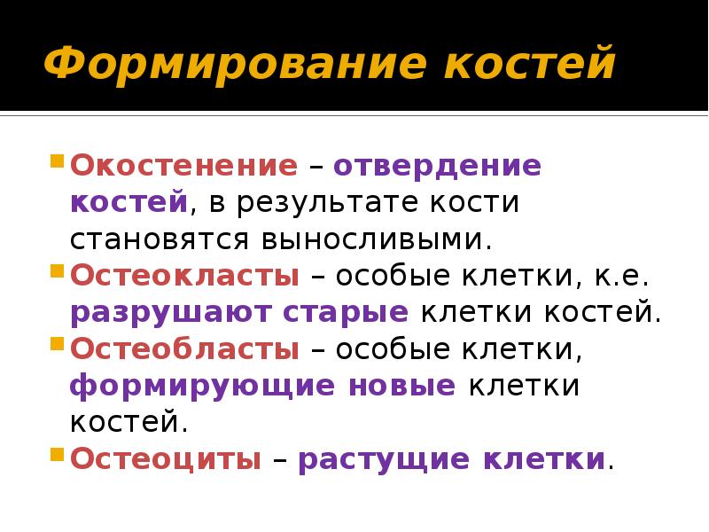 Формирование костей