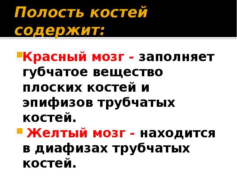 Желтый костя. Функции красного и желтого костного мозга. Желтый мозг. Желтый костный мозг функции. Желтый костный мозг функции кратко.