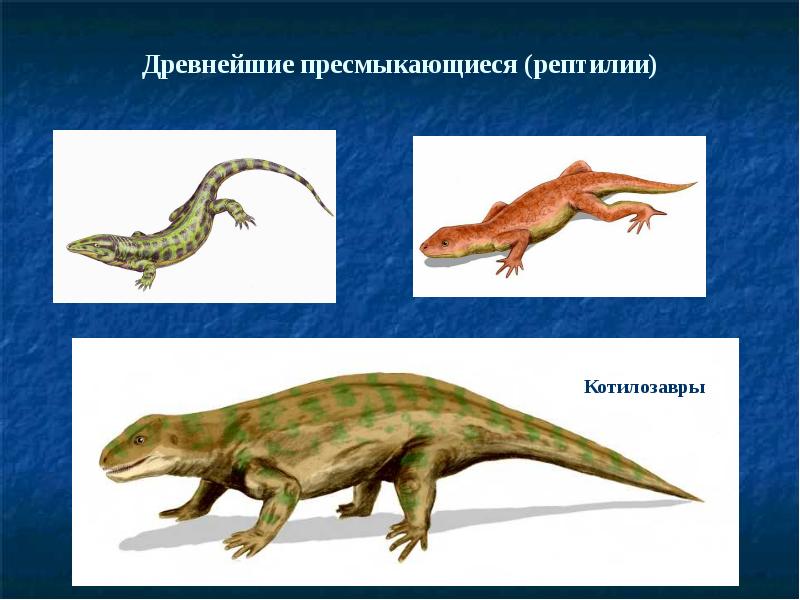 Древние пресмыкающиеся проект