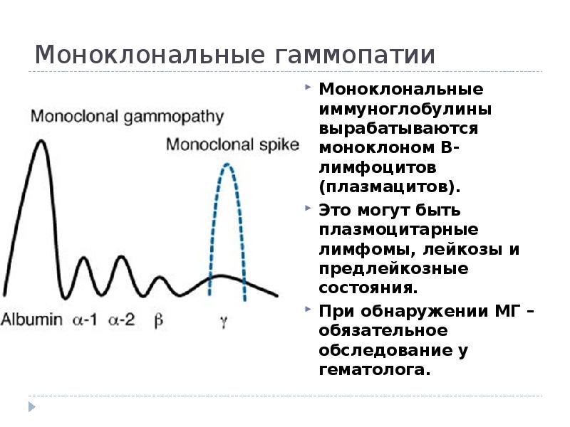 М градиент инвитро. М-градиент на электрофореграмме. Электрофорез белков м градиент. Анализ м градиент. М-градиент в крови.