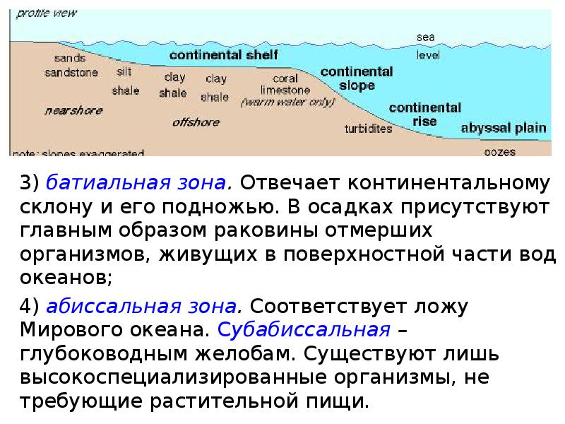 Зона моря. Батиальная зона. Батиальная зона мирового океана. Экологические зоны мирового океана таблица. Моря континентального типа.