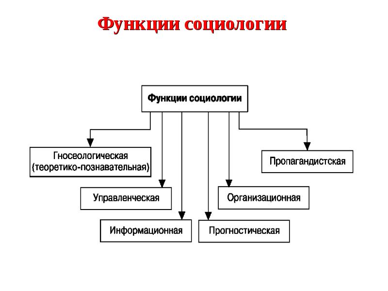 Презентация функции социологии