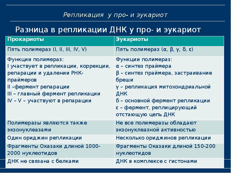 Процесс репликации у эукариот. Характеристики репликации эукариот. Различия репликации у про и эукариот. Сравните процесс репликации у прокариот и эукариот. Особенности организации и репликации хромосом эукариот.