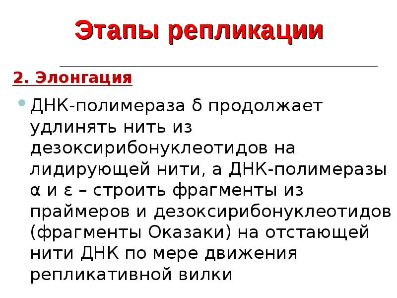 Стадии днк. Стадия терминации репликации ДНК. Этап элонгации в репликации ДНК. Этапы элонгации репликации. Инициация элонгация терминация репликации.