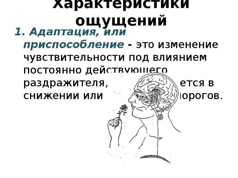 Характеризуя чувства. Адаптация ощущений. Адаптация ощущений в психологии. Виды адаптации ощущений в психологии. Адаптация как свойство ощущений.