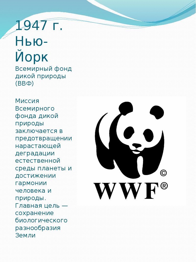 Wwf всемирный фонд дикой природы презентация