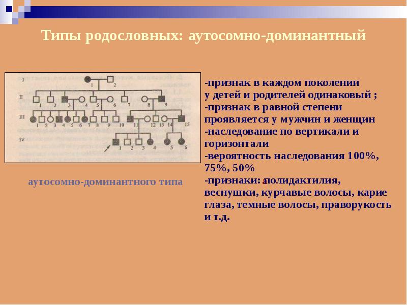 Изучение наследования признаков по родословной проект 10 класс