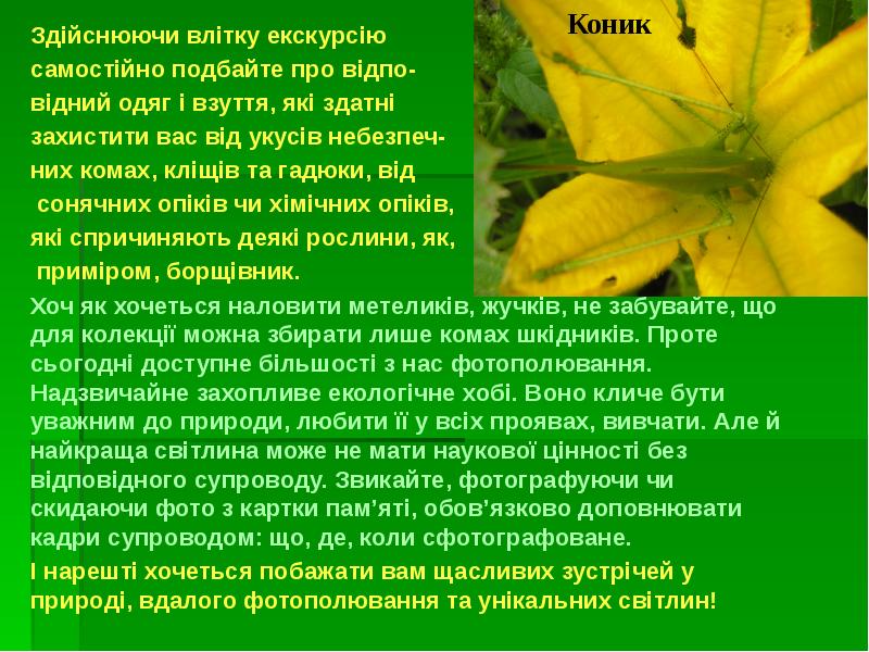 Здійснюючи влітку екскурсію
Здійснюючи влітку екскурсію
самостійно подбайте про Здійснюючи влітку екскурсію
Здійснюючи влітку екскурсію
самостійно подбайте про