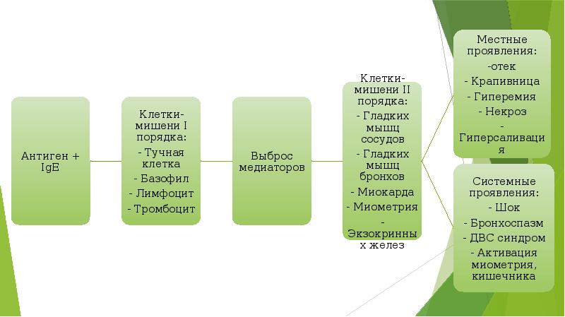 Анафилактический шок презентация патофизиология