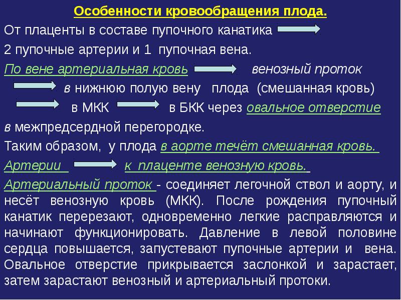 Особенности гемодинамики