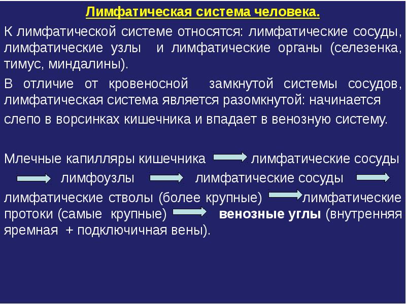 Система относим. Лимфатическая система человека замкнутая или незамкнутая.