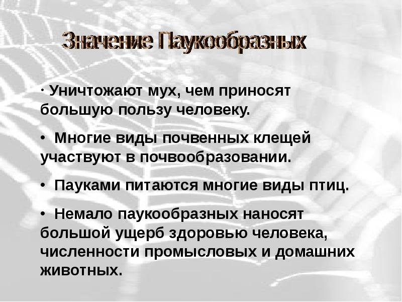 Значение пауков в природе и жизни