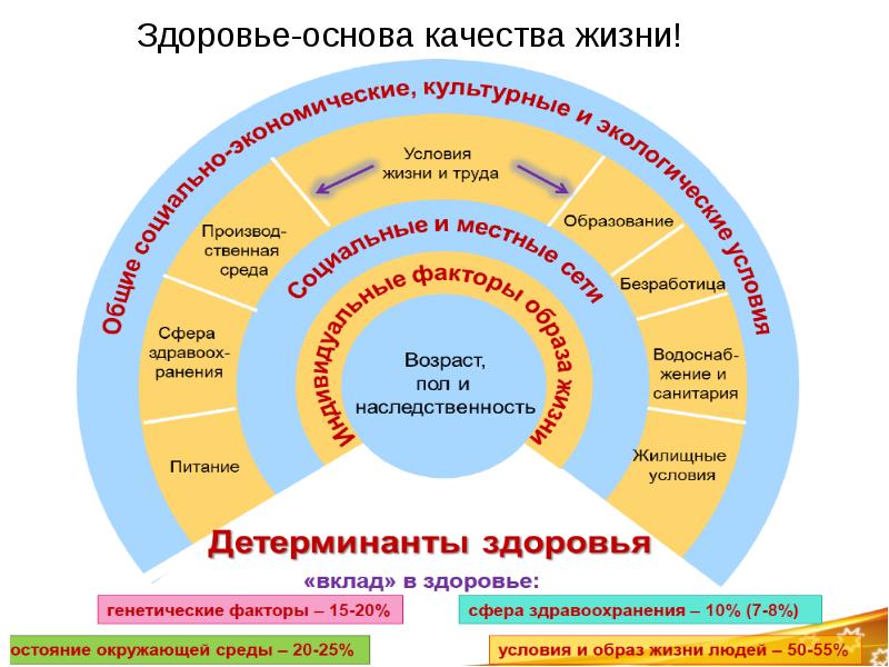 Проект качество жизни