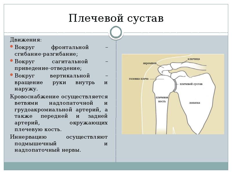 Вывих плечевого сустава