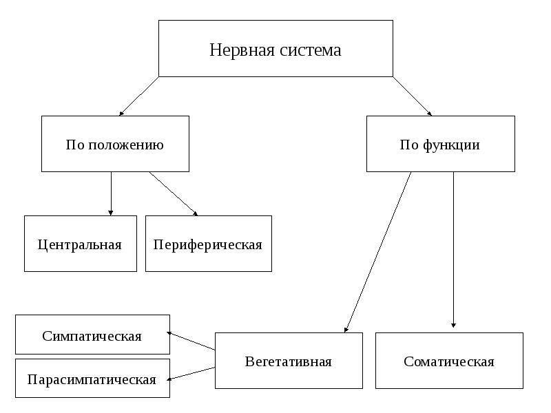 Функции положения